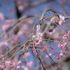 E8958AA0-E84A-4F48-B648-26ACD8A7CC90