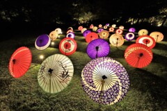 日本庭園の和傘