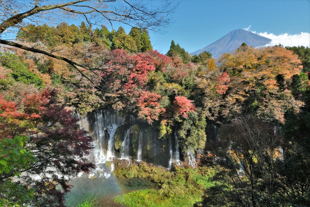 白糸の滝の紅葉