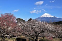 岩本山公園からの風景