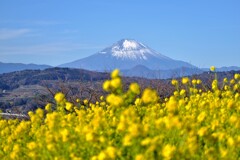 吾妻山公園からの風景