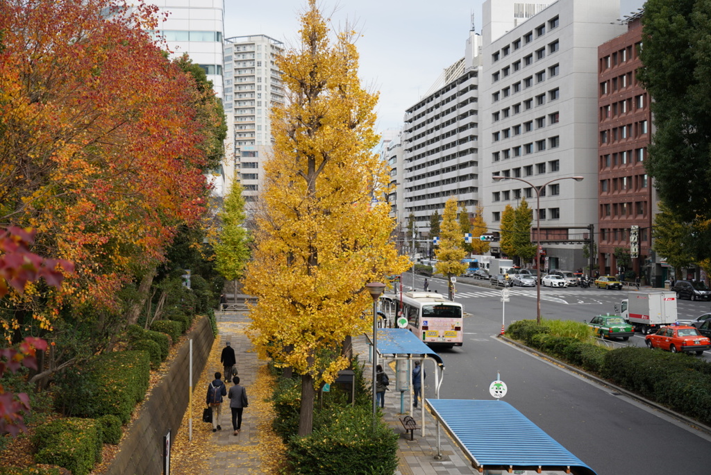 秋のおわり