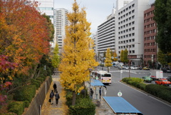 秋のおわり