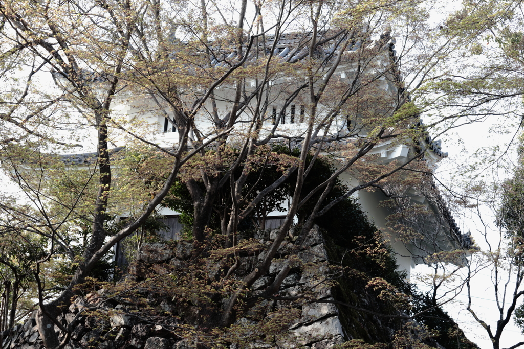 犬山城にて