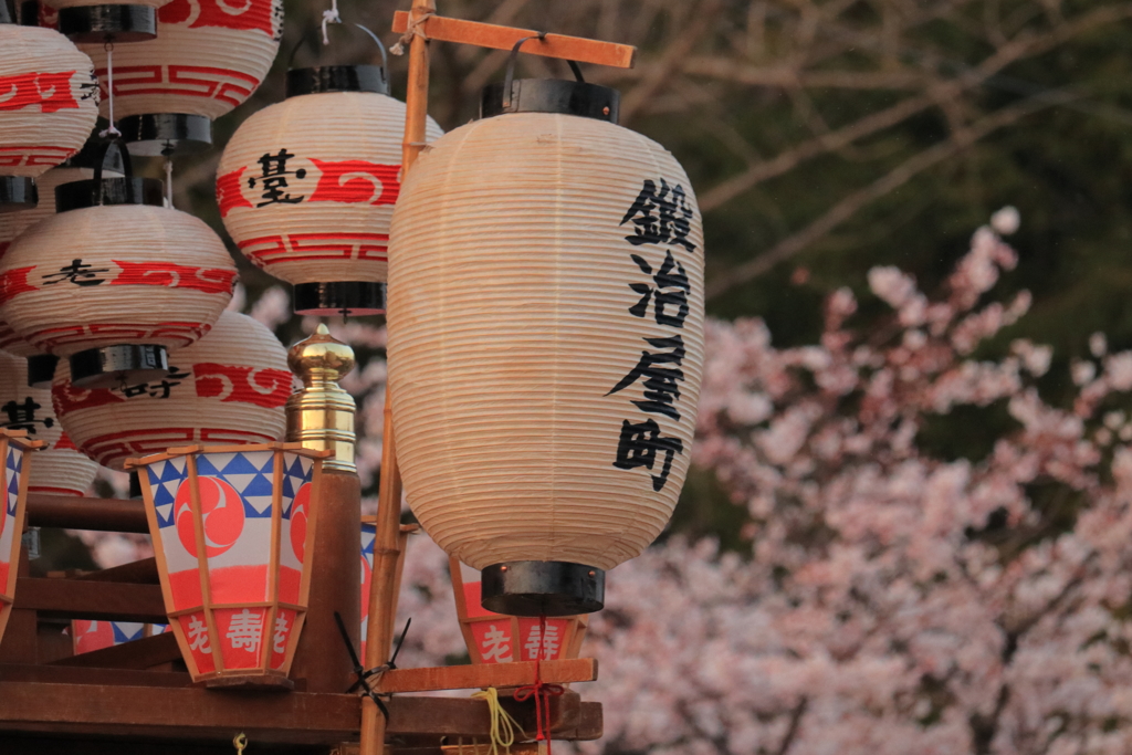 桜の季節に