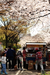 花より焼いも