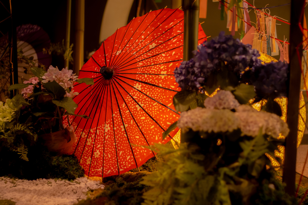 和傘と紫陽花