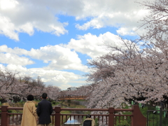 花見にでも行くか…