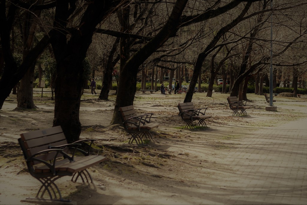 冬の公園