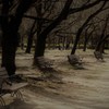 冬の公園