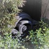 おもてなし　鬼瓦