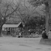 都会のオアシス