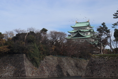 名古屋城