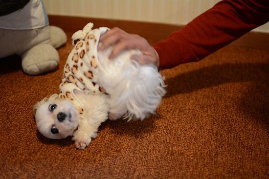 ミリちゃんボール