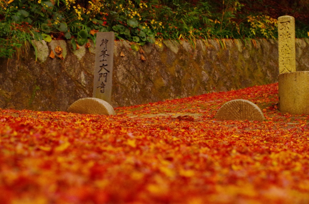 大門寺1