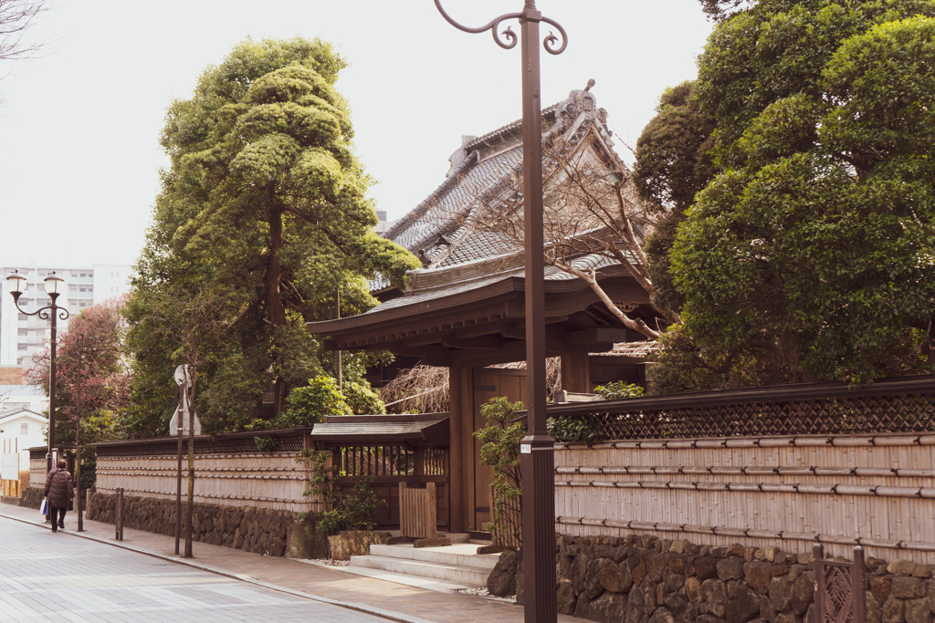 20190316-A7301420