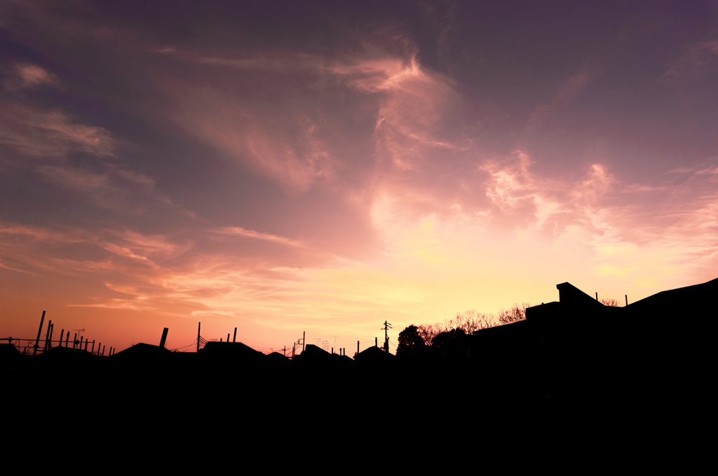夕日