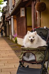 東山ひがし茶屋街にて