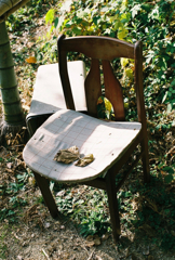椅子と葉