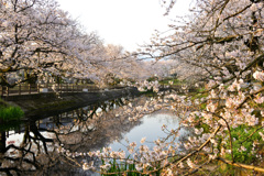 映り込み