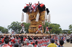 新居浜祭り