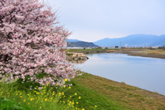 長閑な風景