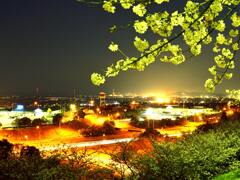 夜景