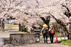歩き遍路