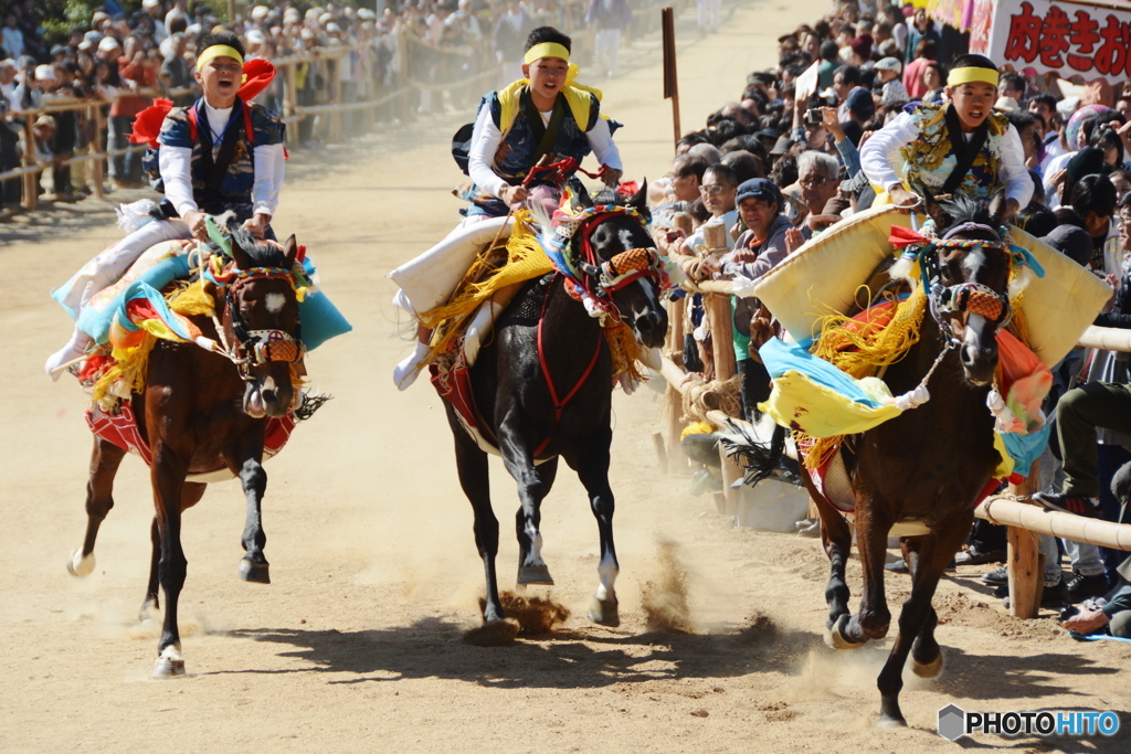 お供馬の走り込み