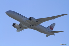 JAL Boeing 787-8 Dreamliner