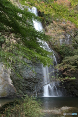 箕面の大滝