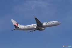 JAL Boeing 737-800