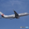 JAL Boeing 737-800