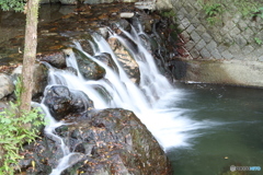 箕面の滝