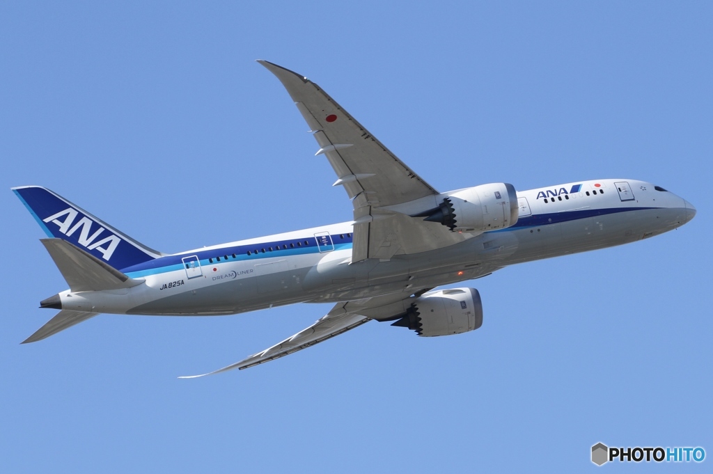 ANA Boeing 787-8 Dreamliner