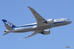 ANA Boeing 787-8 Dreamliner