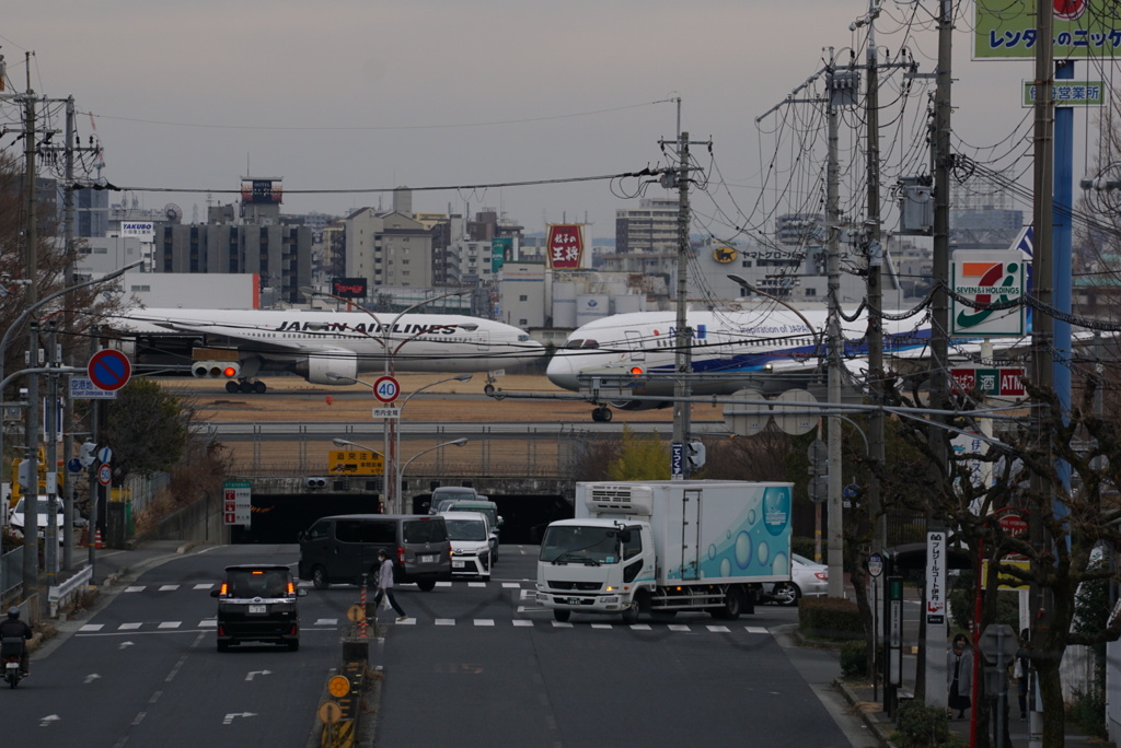 J A L機と A N A機