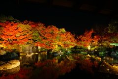 姫路好古園の紅葉ライトアップ3