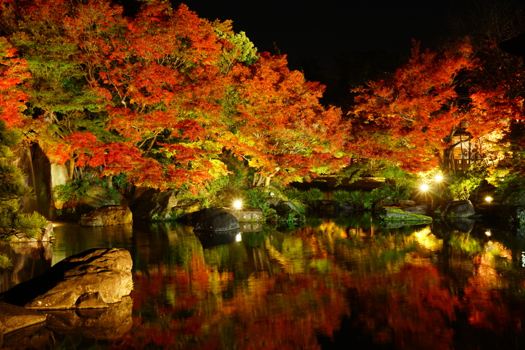 姫路好古園の紅葉ライトアップ4