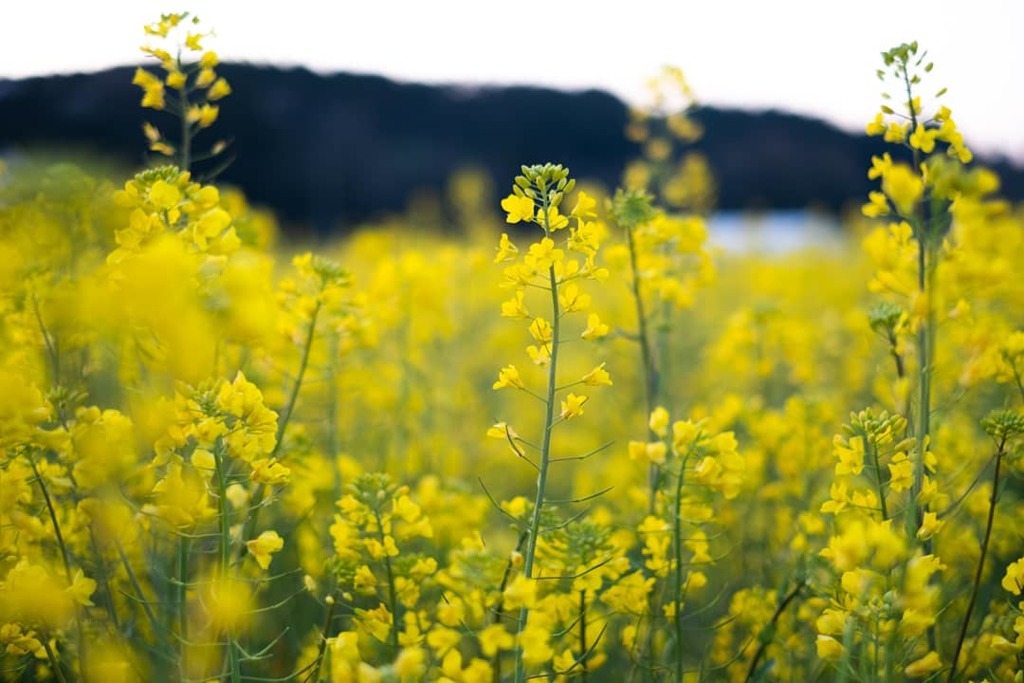 IMG_20190417_224531_645