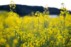 IMG_20190417_224531_645