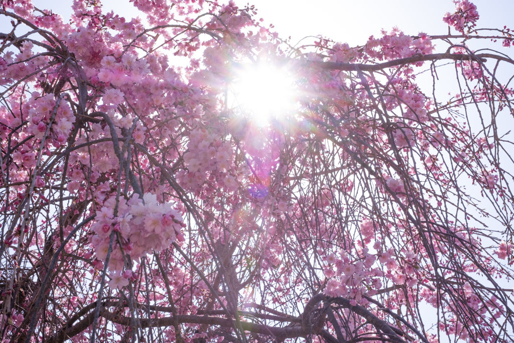 LRM_EXPORT_39828182163337_20190417_21581