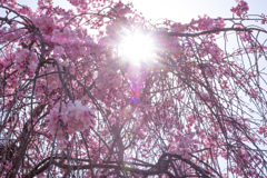 LRM_EXPORT_39828182163337_20190417_21581