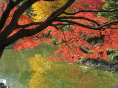 日比谷公園1