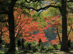 日比谷公園3