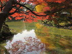 日比谷公園2