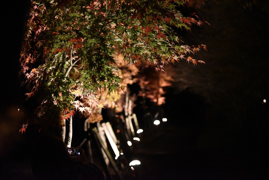 山中湖紅葉祭り