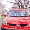 今年の桜はキミと①