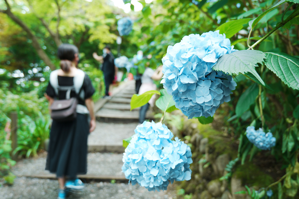 梅雨の中休み②