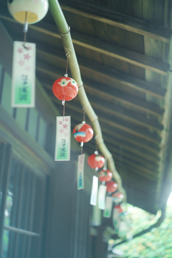 夏の賑わいを求めて③